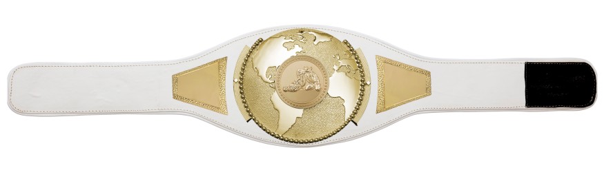 JIU JITSU CHAMPIONSHIP BELT PROGLOBE/G/JIUJITSUG - AVAILABLE IN 6+ COLOURS